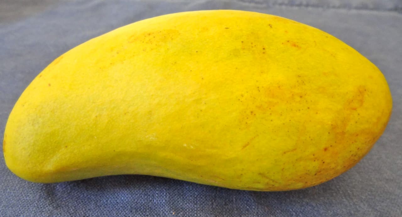 Ataulfo Mango Ice Cream