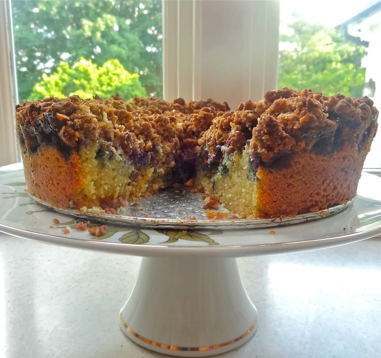 Blueberry Crumb Cake