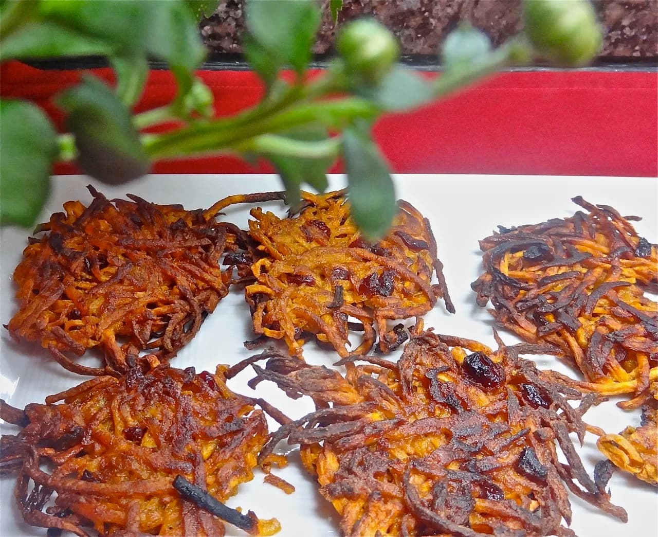 Sweet Potato Latkes with Cranberries