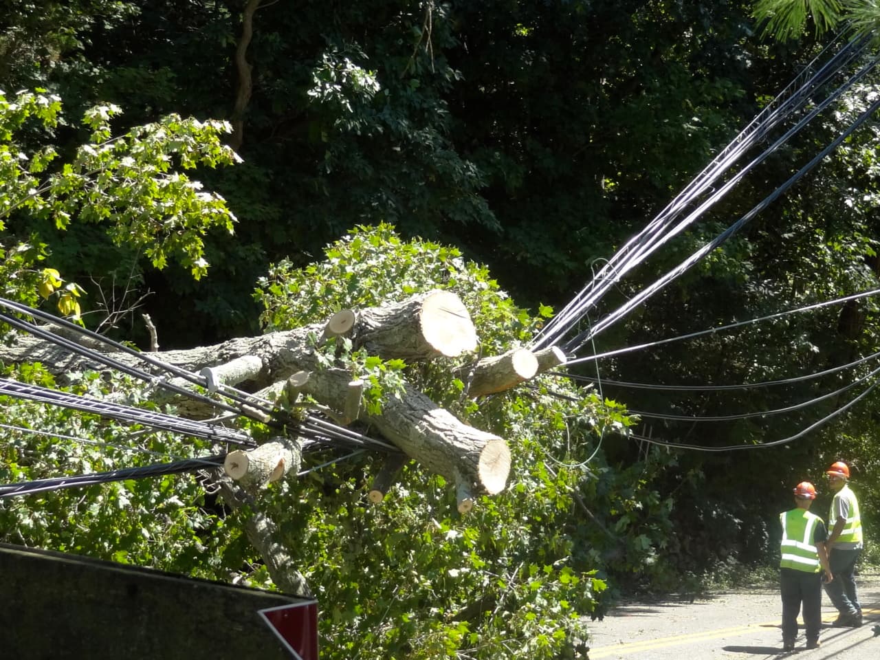 Hurricane Irene and having extra cookies