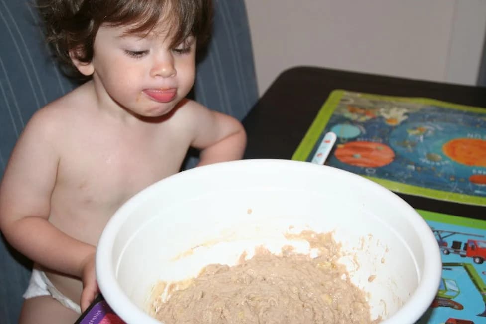 Gillian’s Egg-Free, Dairy-Free Banana Muffins