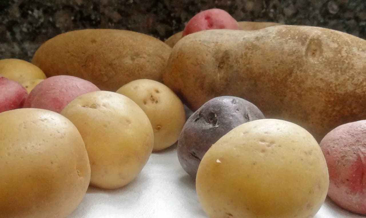 Crusted Mashed Potatoes