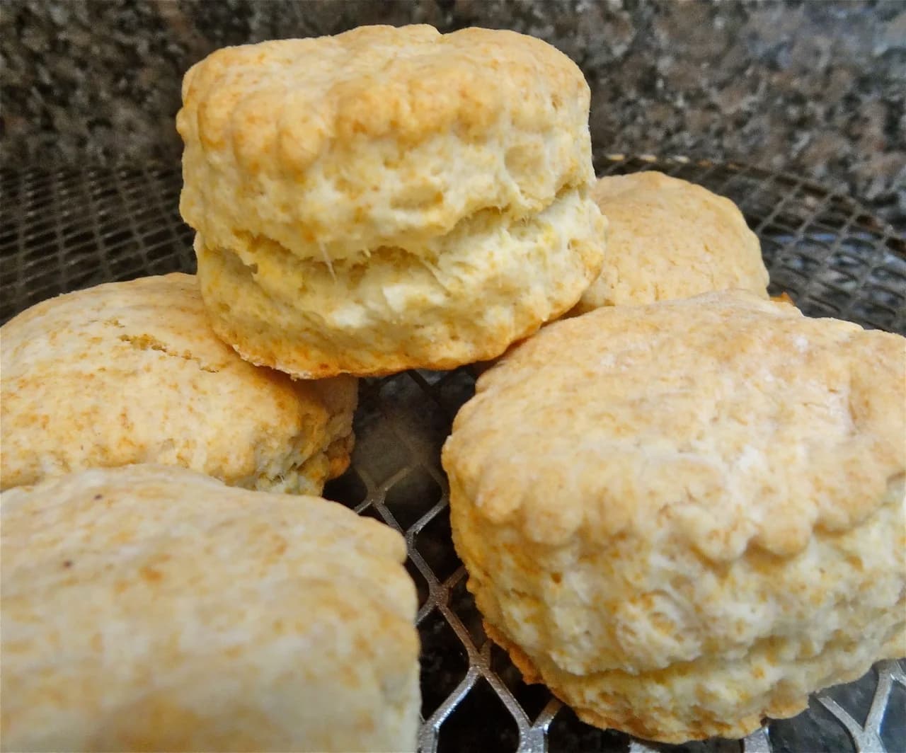 Buttermilk Biscuits