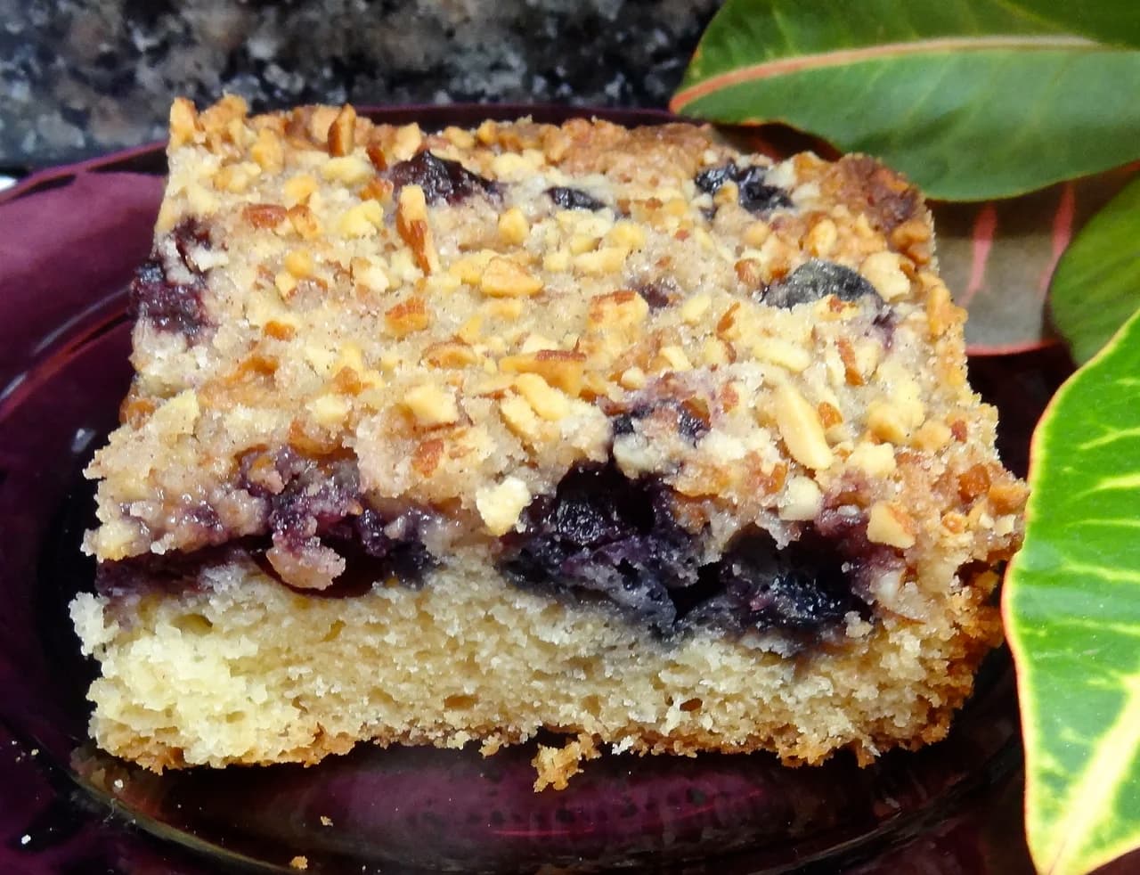 Blueberry Crumb Cake
