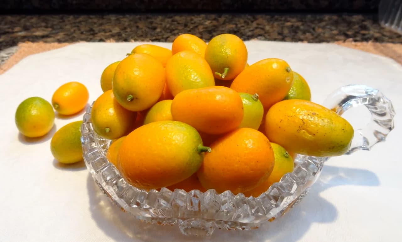 Kumquat-Date Chutney