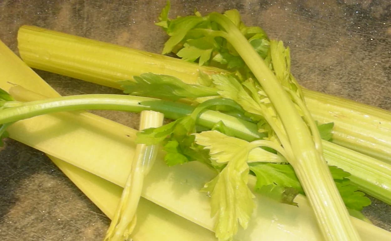 Celery Slaw