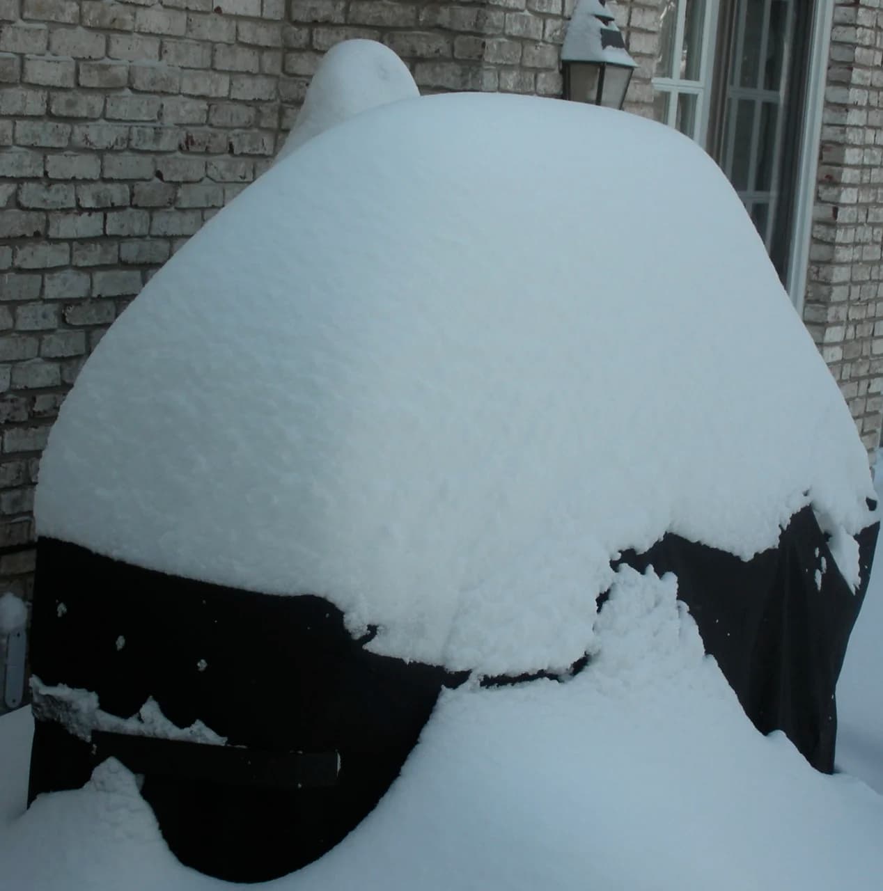 The Snow Covered the Grill: Grilled Skirt Steak Sandwich