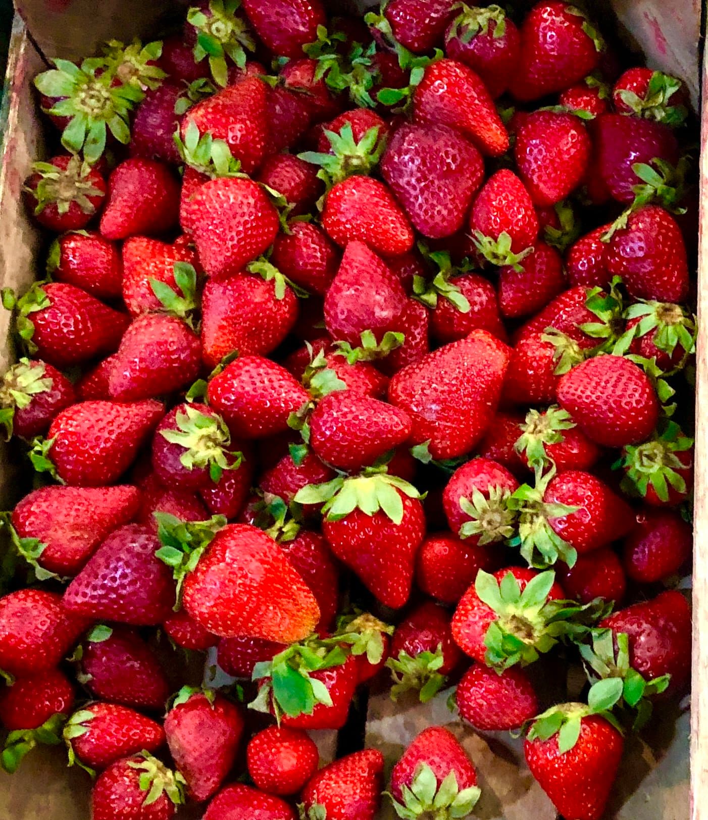 Strawberries Romanoff Shortcake